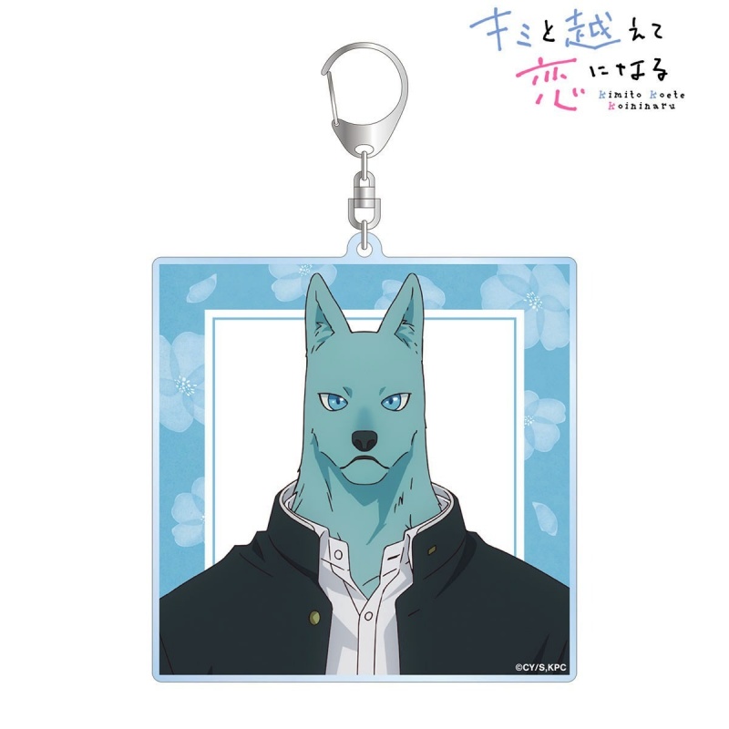 6cm Beyond Border, In Love We  - Lighting Decor And Beyond 리뷰 및 가격