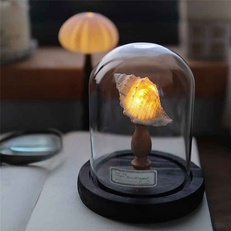 절묘한 DIY 야간 조명 미니 LED 램프 부드러운 조 - Lighting Home Decor Ideas 리뷰 및 가격