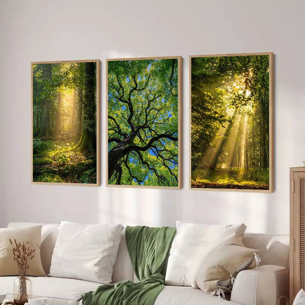 선빔 포레스트 자연 포스터, 나무 덤불 사이로 새벽 햇 - Wall Decor Lighting Tree 리뷰 및 가격