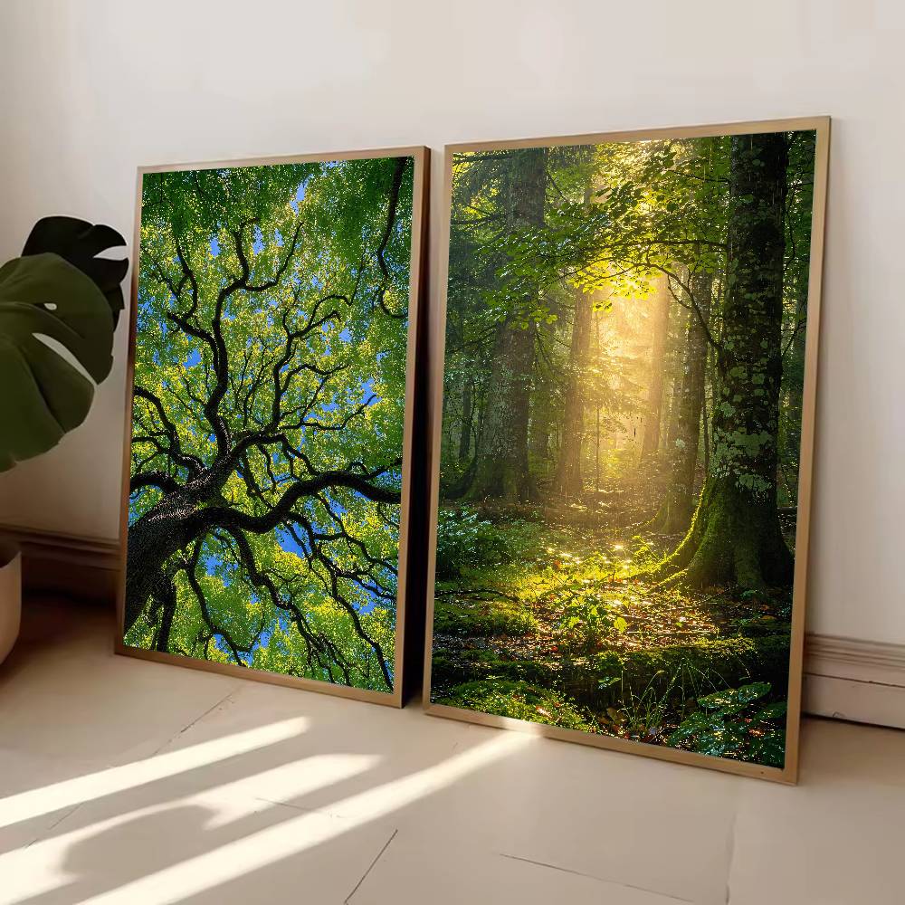 선빔 포레스트 자연 포스터, 나무 덤불 사이로 새벽 햇 - Wall Decor Lighting Tree 리뷰 및 가격