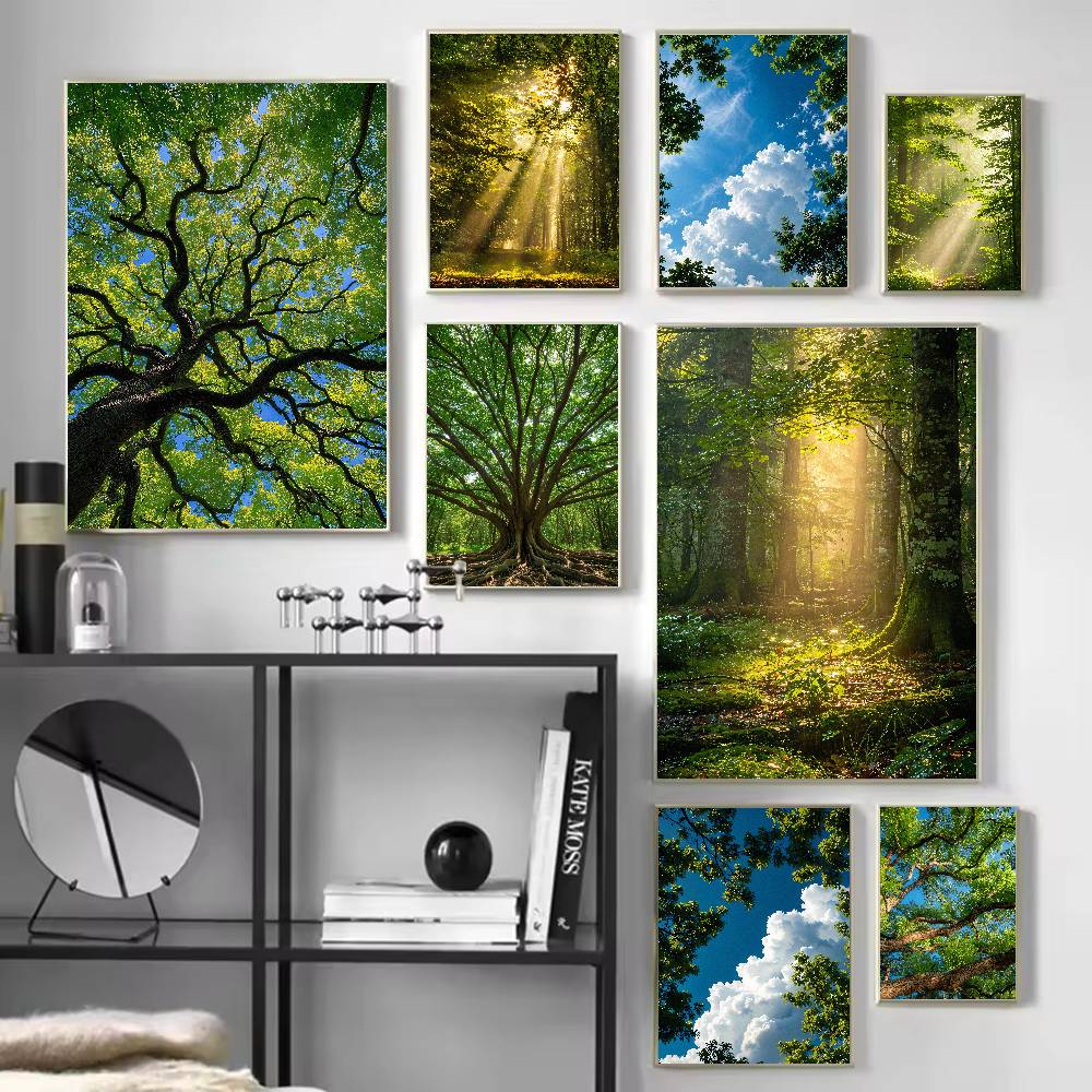 선빔 포레스트 자연 포스터, 나무 덤불 사이로 새벽 햇 - Wall Decor Lighting Tree 리뷰 및 가격